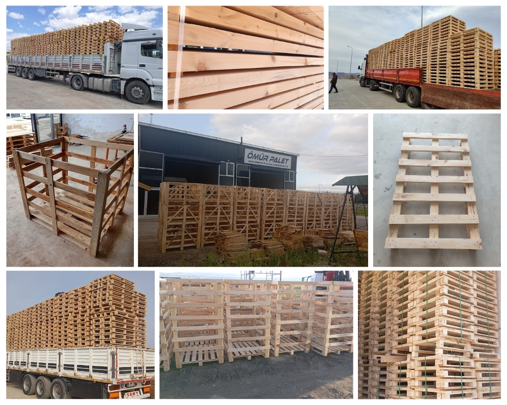 Casalecchio di Reno Palette Europe, Acheter des palettes en gros